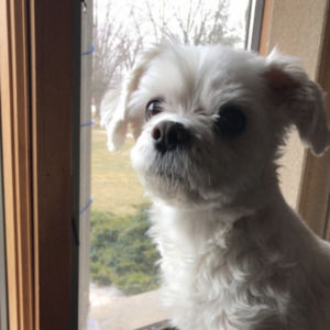 Meet your Posher, Maureen